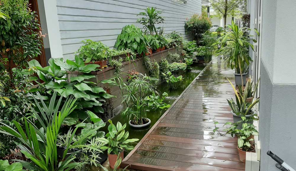 Water feature (22)