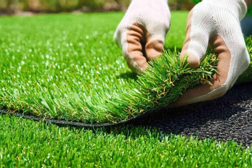 Artificial Grass